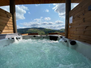 Ours Brun - Vue Panoramique La Bresse-Gerardmer